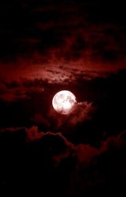 Вампиры нашего времени