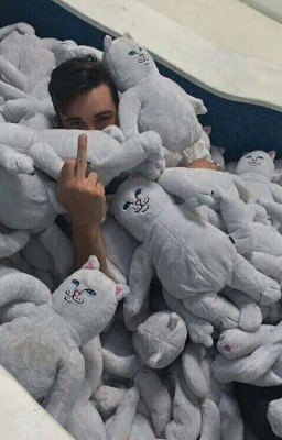 Ты ещё та пизда