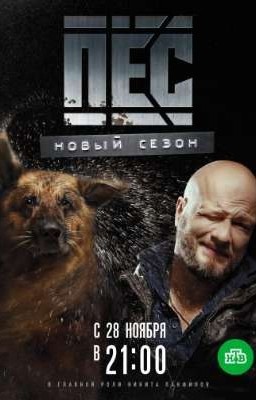 Будь моим счастьем  Максим/Ожп [Сериал Пёс] 