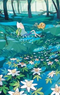 Adventure time x reader