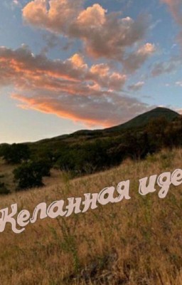 Желанная идея