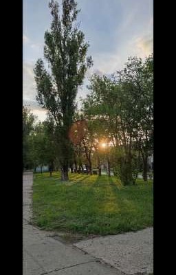 сборник стихов