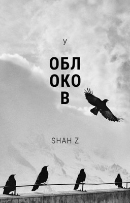 У ОБЛОКОВ