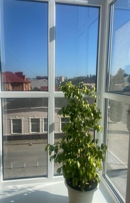 Стихи