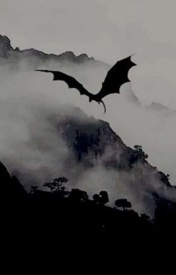 I own you I HTTYD