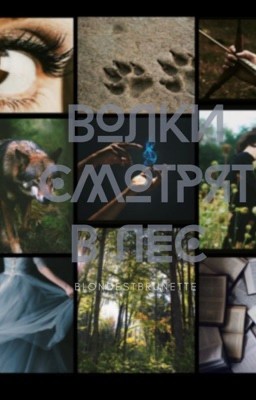 Волки смотрять в лес