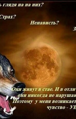 Лунная баллада