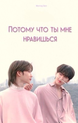 Потому что ты мне нравишься | Чанликсы / Stray Kids