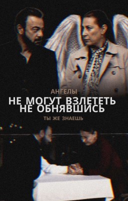 Не могут взлететь, не обнявшись