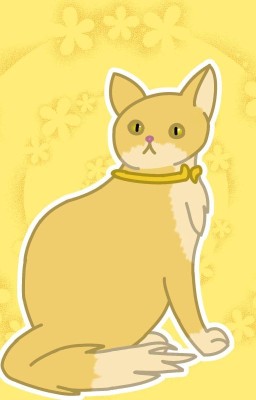 Кошачий вирус