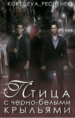 Птица с черно-белыми крыльями 