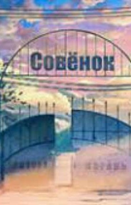Два друга в Совёнке