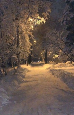Укрытая снегом тропа