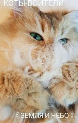 КОТЫ ВОИТЕЛИ 《ЗЕМЛЯ И НЕБО》