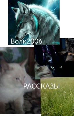 Рассказы