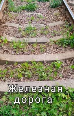 Железная дорога 