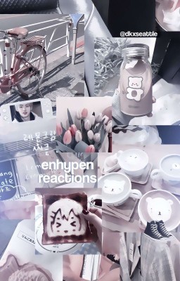 ꕤ ៸៸ 𝐞𝐧𝐡𝐲𝐩𝐞𝐧 𝐫𝐞𝐚𝐜𝐭𝐢𝐨𝐧𝐬 : ♡