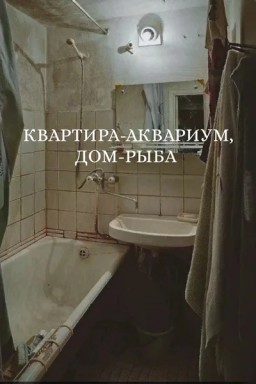 квартира-аквариум, дом-рыба