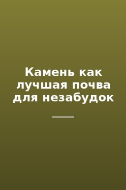 Камень как лучшая почва для незабудок