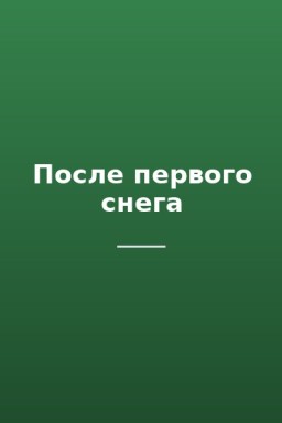 После первого снега