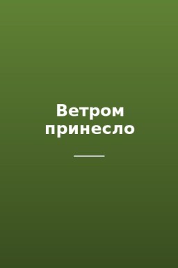 Ветром принесло