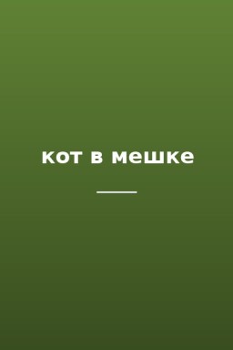 кот в мешке