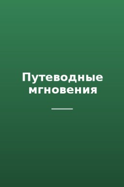 Путеводные мгновения