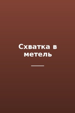 Схватка в метель