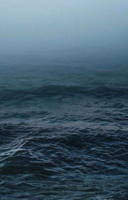 От опавшей листвы до цветов сирени