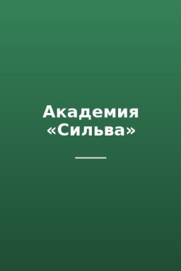 Академия «Сильва»