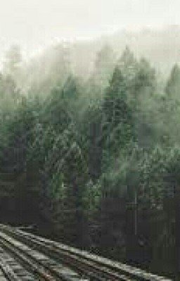 Необычная любовь, или вперёд к приключениям