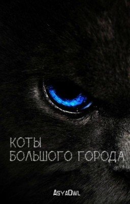 Коты большого города