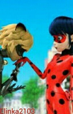 Леди Баг и Кот Нуар.История продолжается))