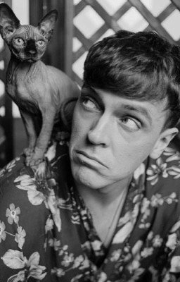 Игра началась...