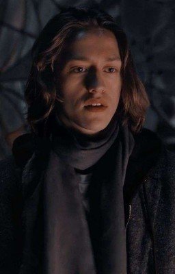 а они, что тут забыли? 