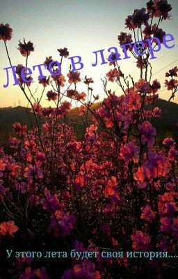 Лето в лагере（ЗАМОРОЖЕННО）