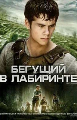 Бегущий в лабиринте