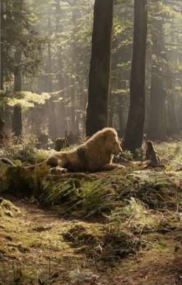 Хроники Нарнии лев Колдунья и платеной шкаф