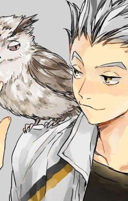 Волейбол Аниме-"Вперед к метче!"