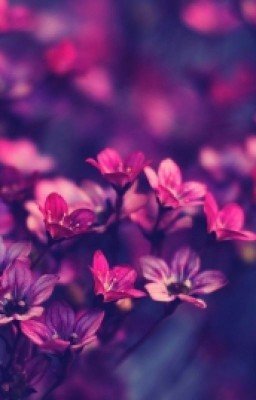 Волшебный город.