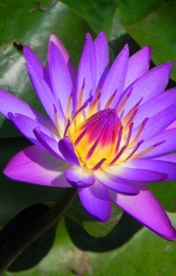 Новое поколение и новые приключения.Книга 2.