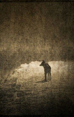 пес-призрак.Удивительная история девочки.