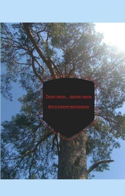 Тили-тили, трали-вали вот и в жопу мы попали