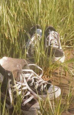 Сань, мы выбрали правильный путь?