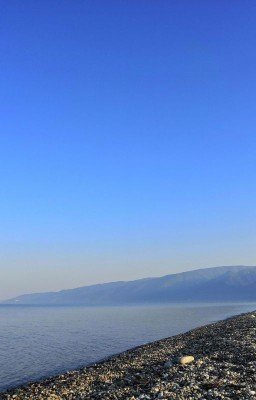 Суровые реалии от Голубчайки