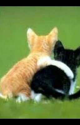 Интернет - Друзья | Моя Реальность