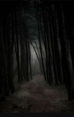 Назад К Безопасности