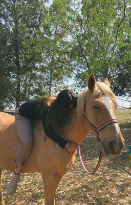 𝐿𝐼𝐵𝑅𝐼𝐸 | ʙʏ Lɪssᴀ