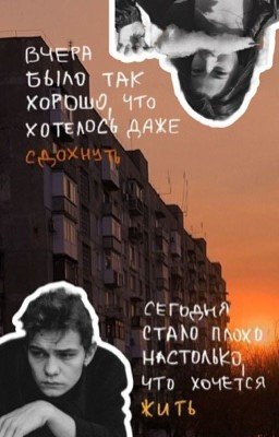 Лояльность 