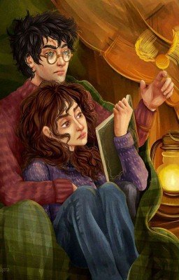 Тайна мисс Поттер